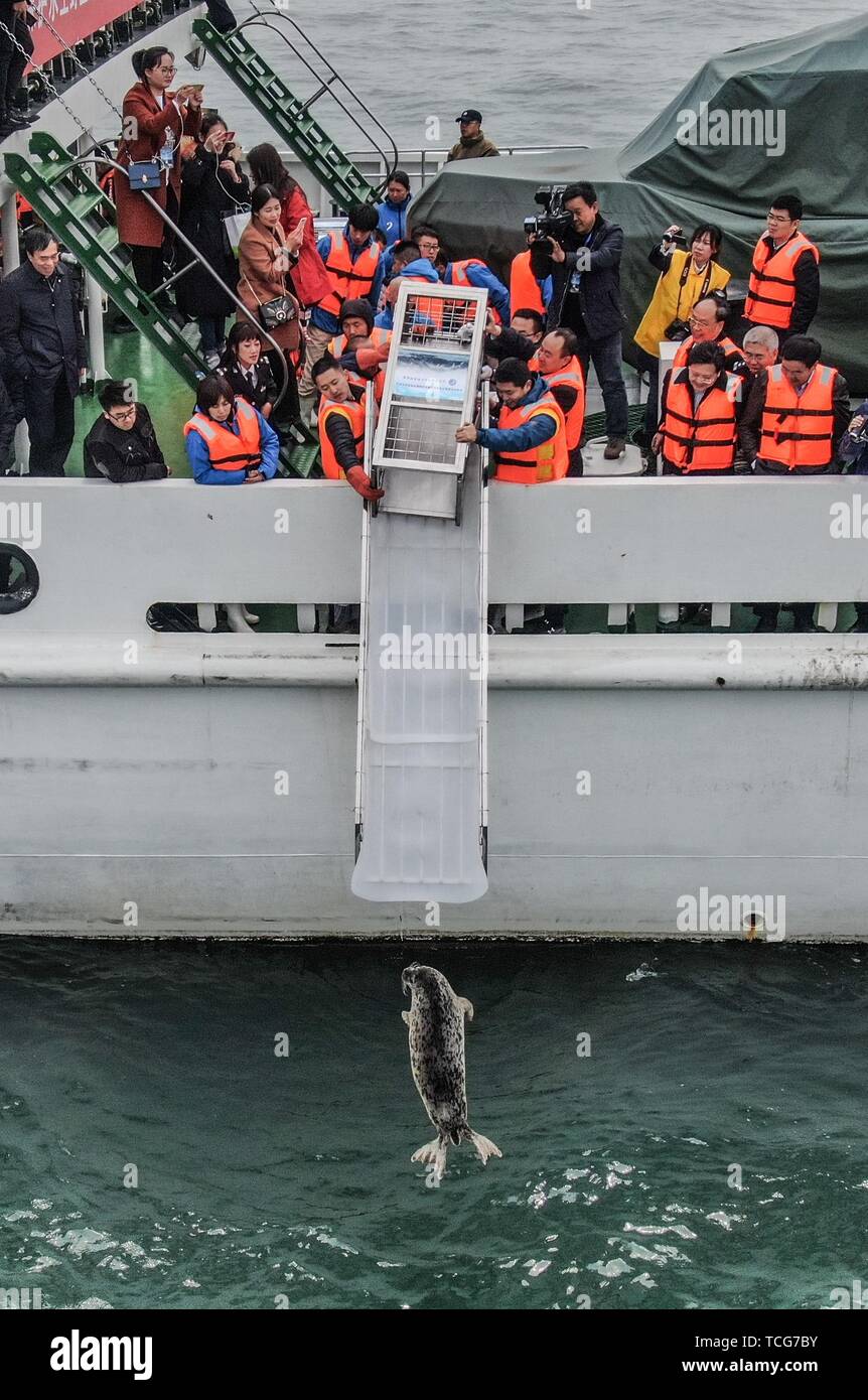 Beijing, China. 11th Apr, 2019. Aerial photo taken on April 11, 2019 shows a spotted seal being released back into the wild in Dalian, northeast China's Liaoning Province. Credit: Pan Yulong/Xinhua/Alamy Live News Stock Photo