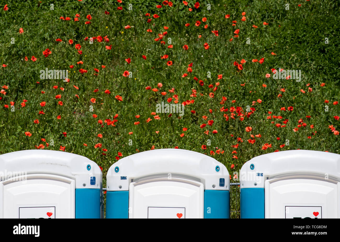 Nuremberg, Germany. 08th June, 2019. 08 June 2019, Bavaria, Nuremberg: Mobile toilets are available on the grounds of the open-air festival 'Rock im Park'. The music festival runs until 9 June 2019. Photo: Daniel Karmann/dpa Credit: dpa picture alliance/Alamy Live News Stock Photo