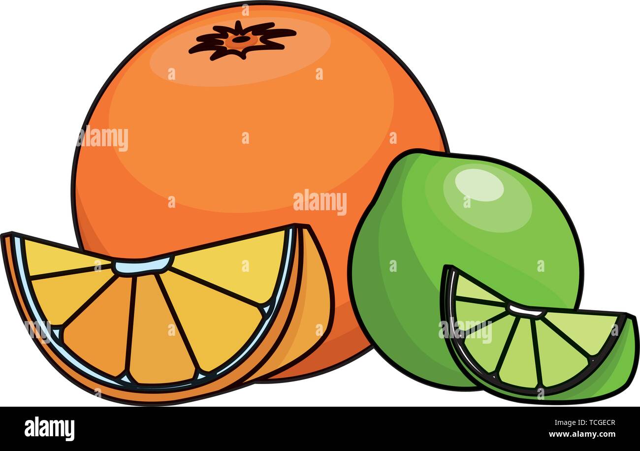 Orange and lemon sliced citric fruits Stock Vector Image & Art Alamy