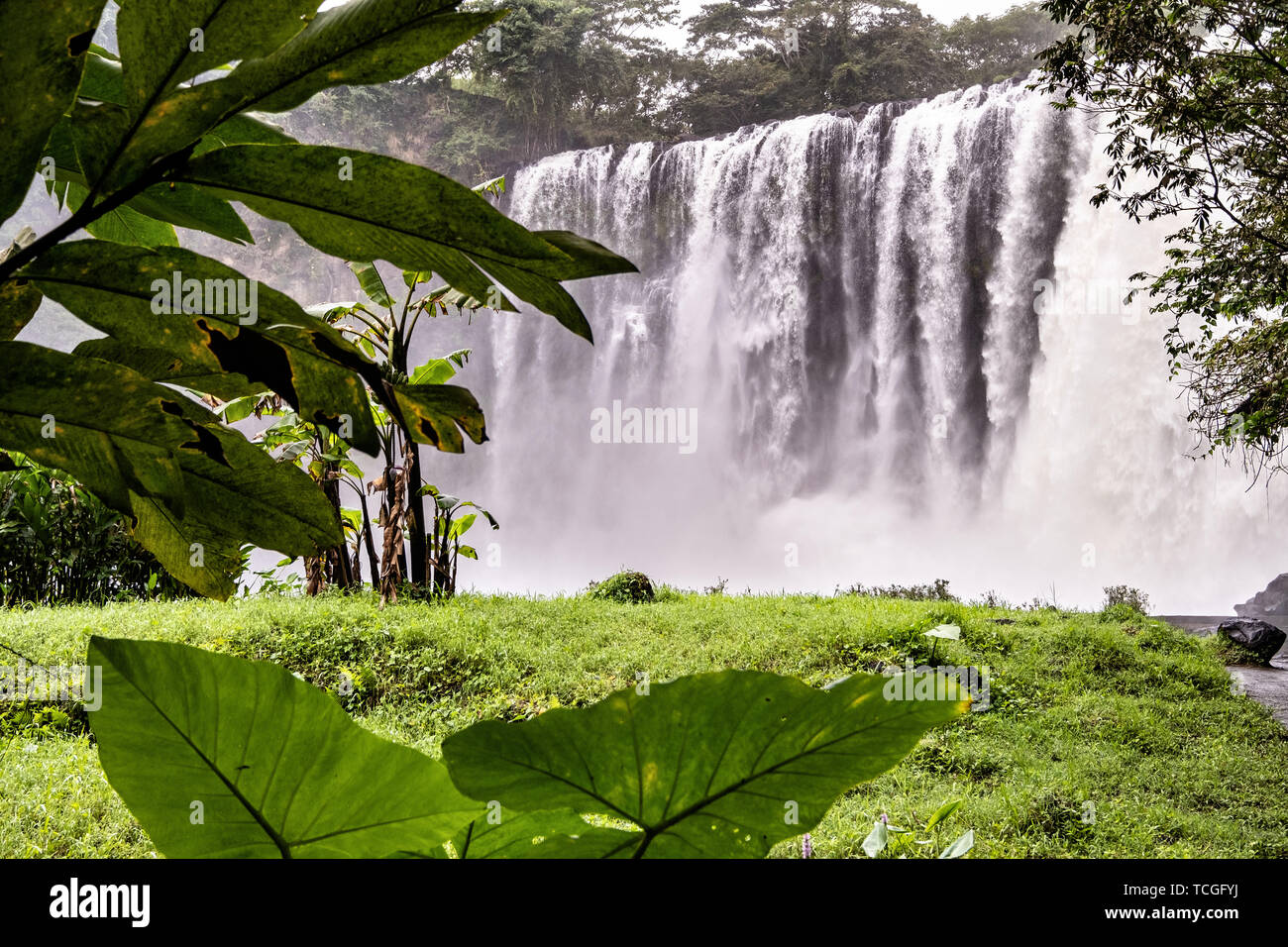 The Massive Eyipantla Falls Where The Catemaco River Drops 50 Meters To The Lower Jungle Near San Andres Tuxtlas Veracruz Mexico The Waterfall Is 40 Meters Wide And 50 Meters Tall Stock Photo Alamy