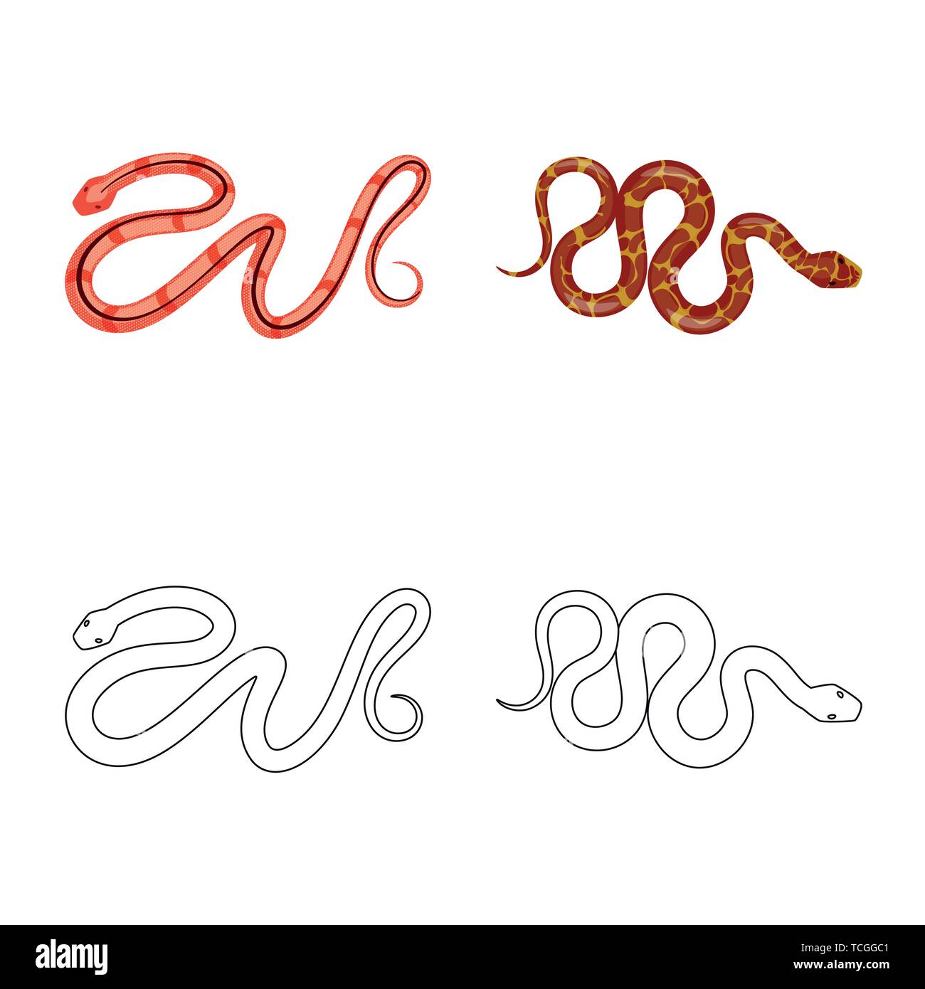 snake,tail,wild,spiral,tropics,brazil,tropical,forest,brown,peril ...
