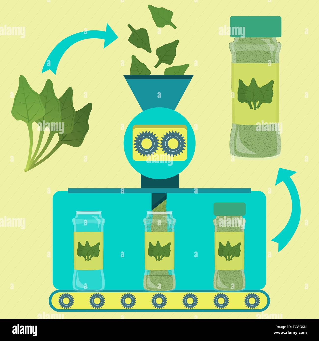 Spinach powder line series production. Factory of spinach powder. Fresh leaves spinach being processed. Bottled spinach powder. Stock Vector