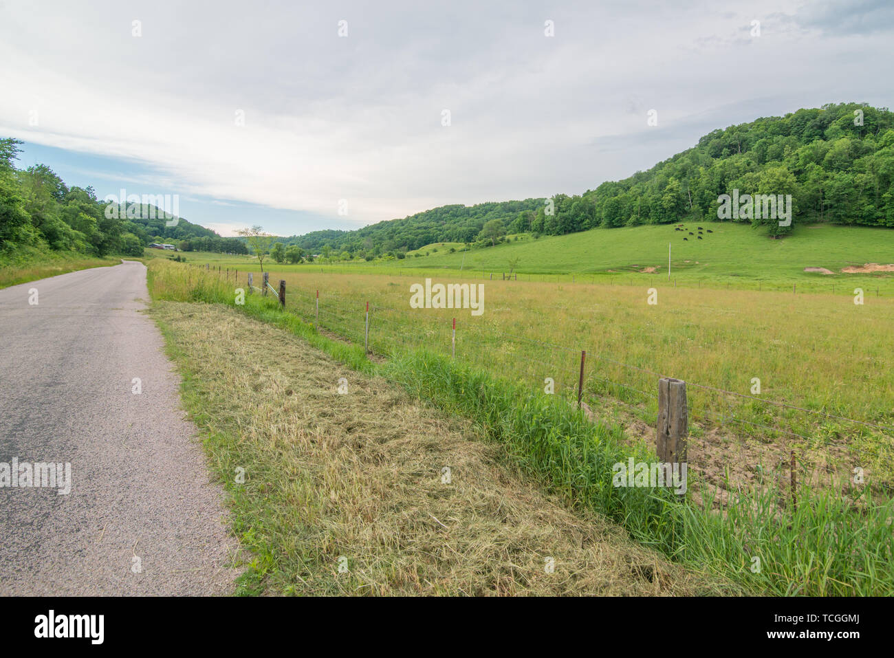 Beautiful rolling hills and rural road of driftless amish area in 