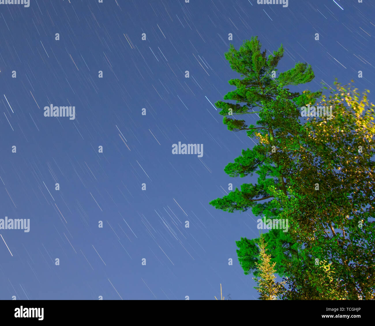 Star trails on a beautiful clear summer night with pine trees - long exposure taken off Hungry Jack Lake on the Gunflint Trail in Northern Minnesota Stock Photo