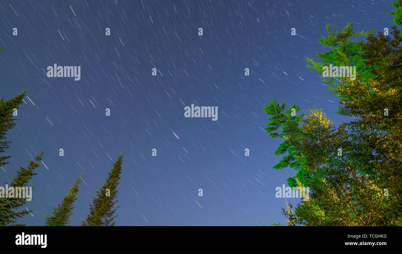 Star trails on a beautiful clear summer night with pine trees - long exposure taken off Hungry Jack Lake on the Gunflint Trail in Northern Minnesota Stock Photo