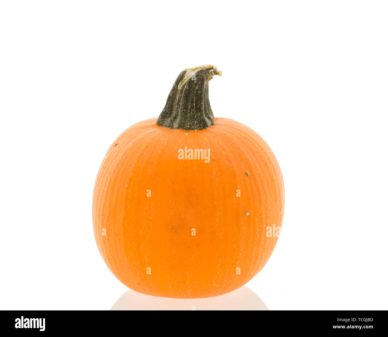 small pumpkin isolated on a white background Stock Photo - Alamy