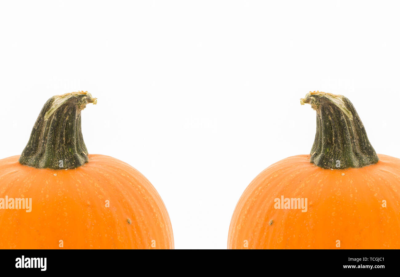 two pumpkins isolated on white background with space for text Stock ...