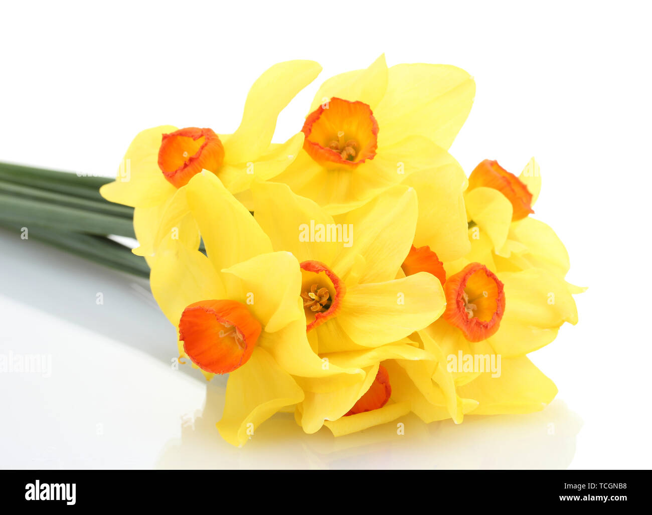 beautiful yellow daffodils isolated on white Stock Photo - Alamy