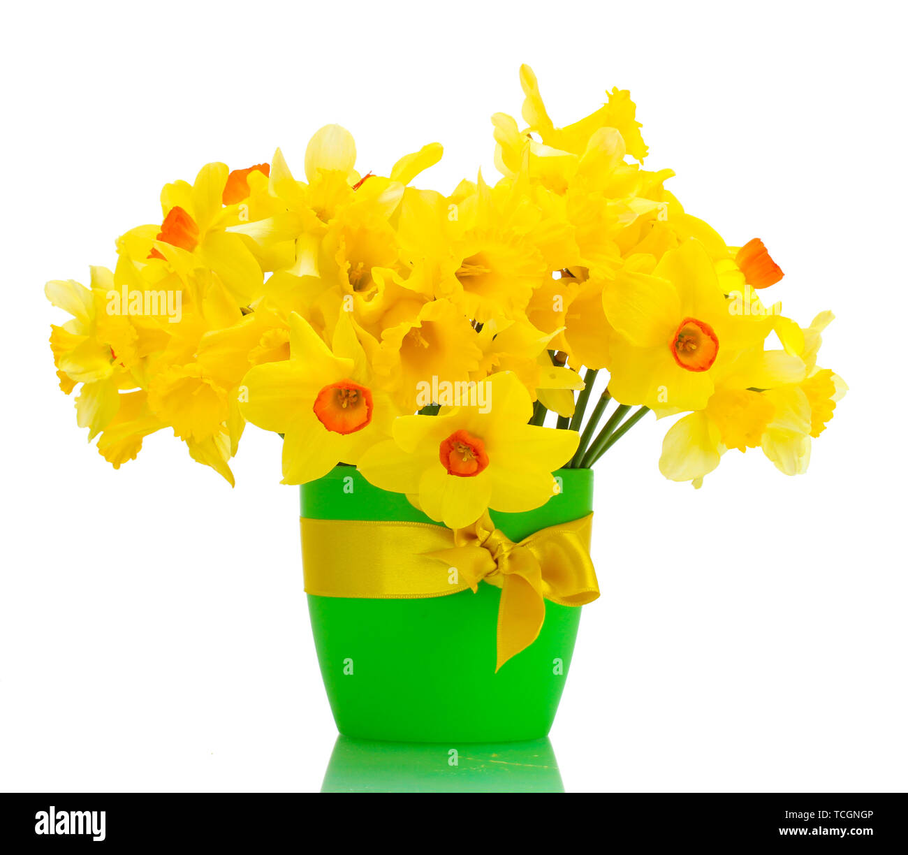 beautiful yellow daffodils in flowerpot isolated on white Stock Photo ...