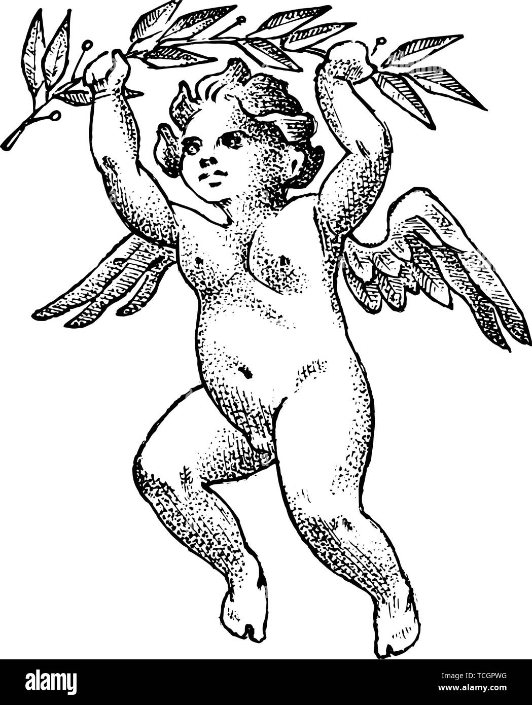Cute angel with a branch of laurel. Small aesthetic Cupid with wings fly in the sky. Children in Monochrome engraved style. Template for tattoo or Stock Vector