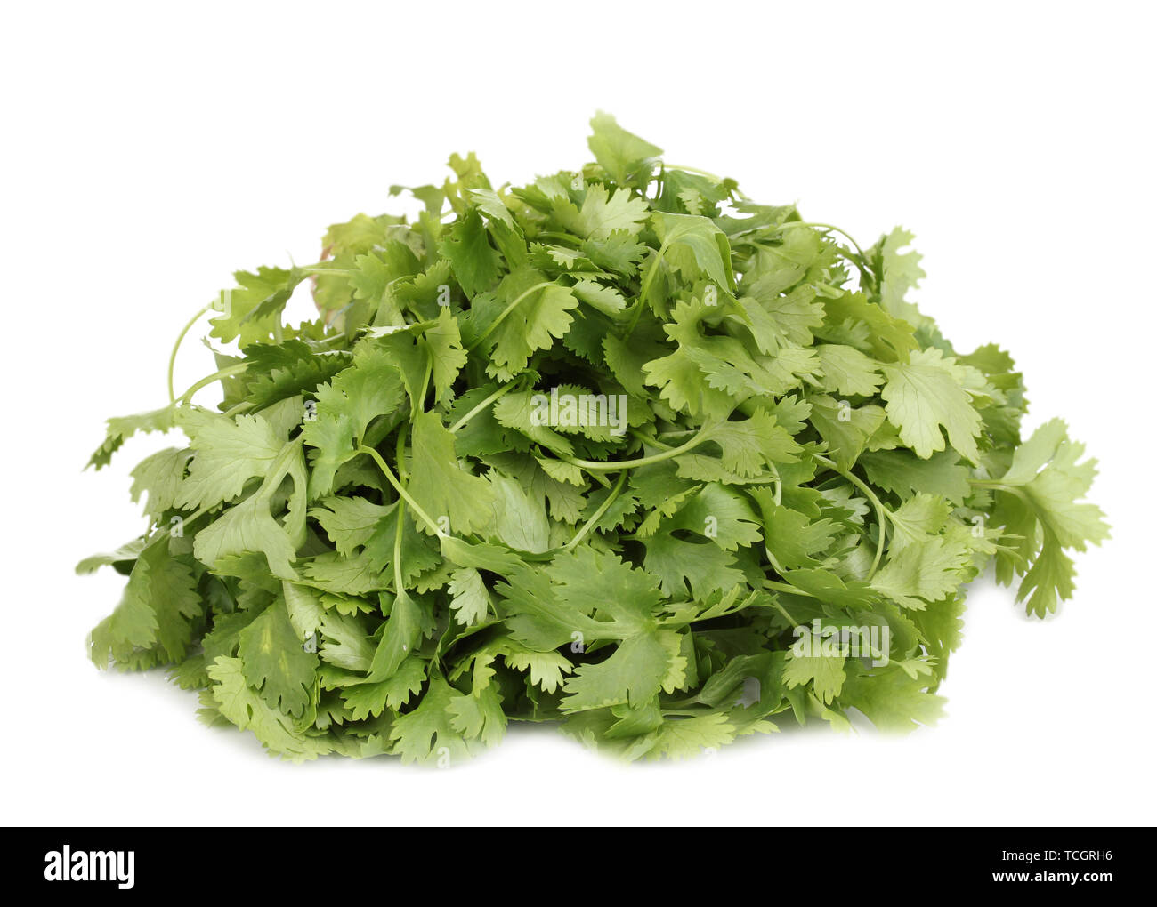 fresh coriander or cilantro isolated on white Stock Photo Alamy