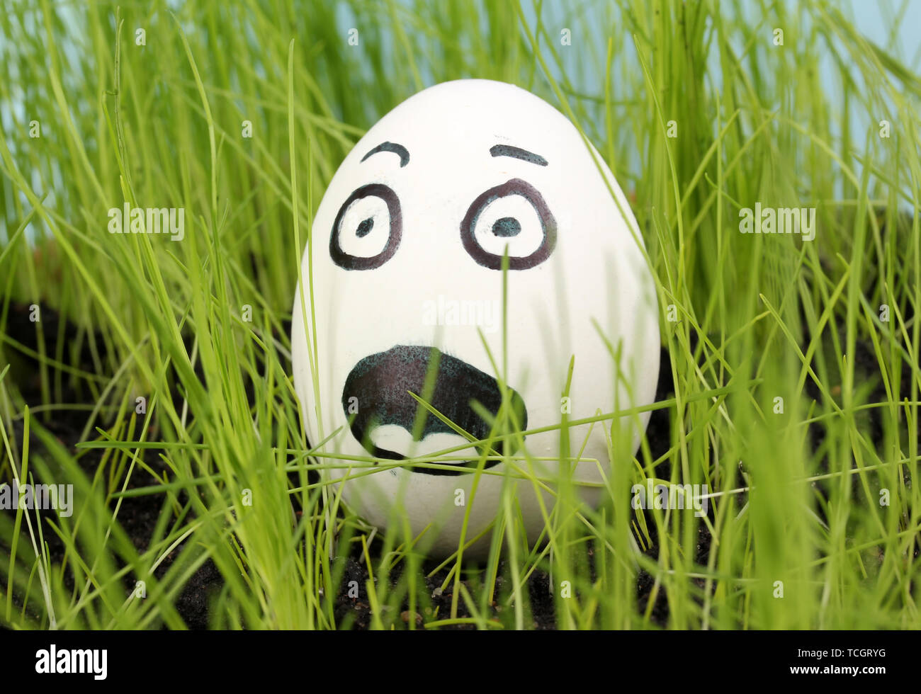 White egg with funny face in green grass Stock Photo - Alamy