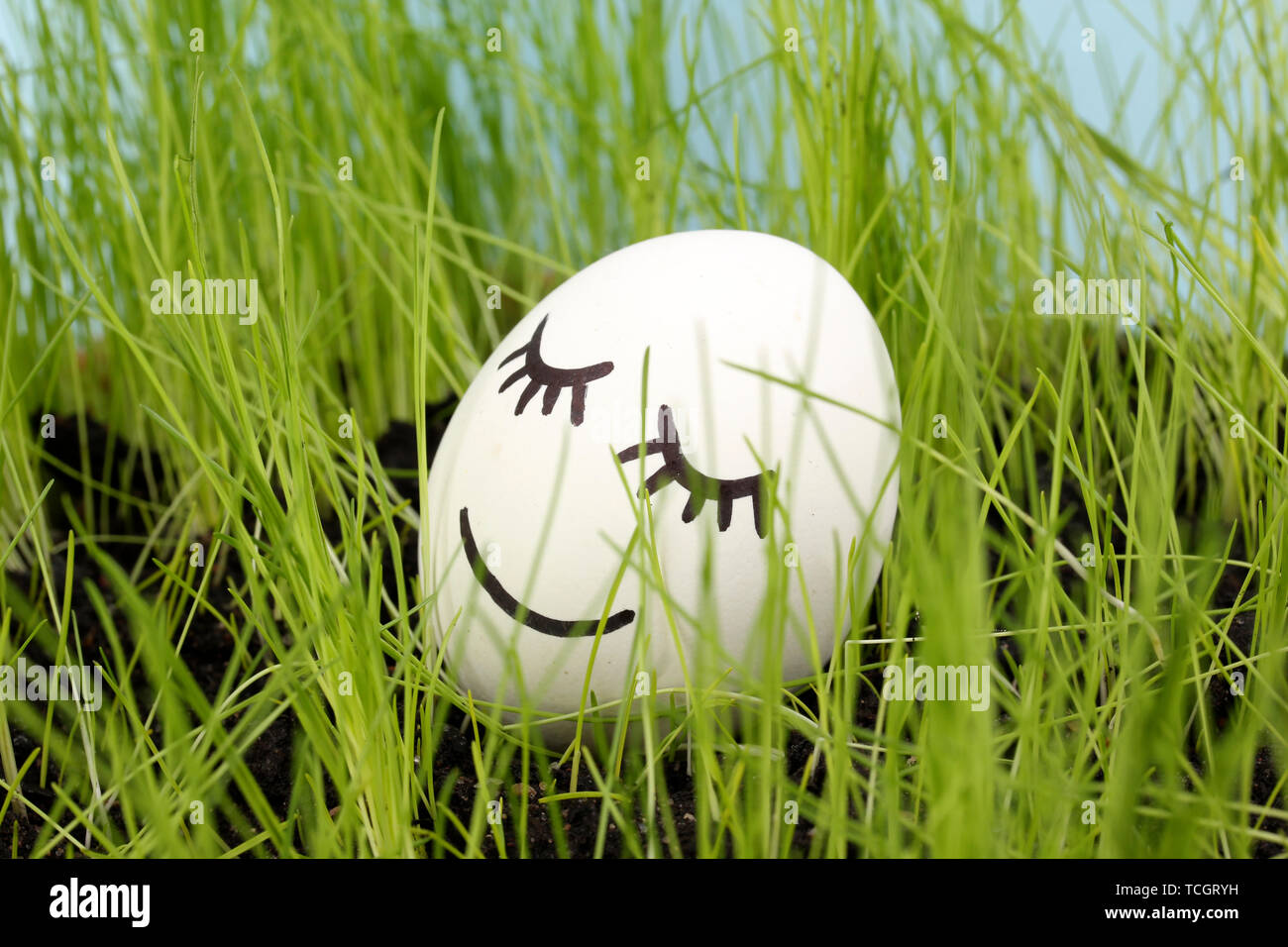 White egg with funny face in green grass Stock Photo - Alamy