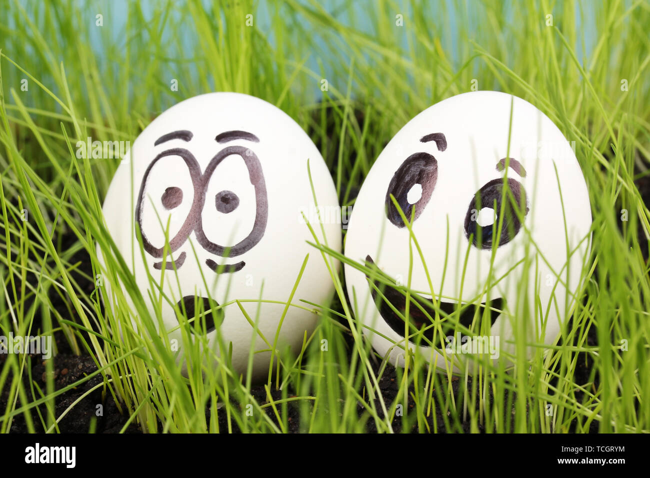 White eggs with funny faces in green grass Stock Photo - Alamy