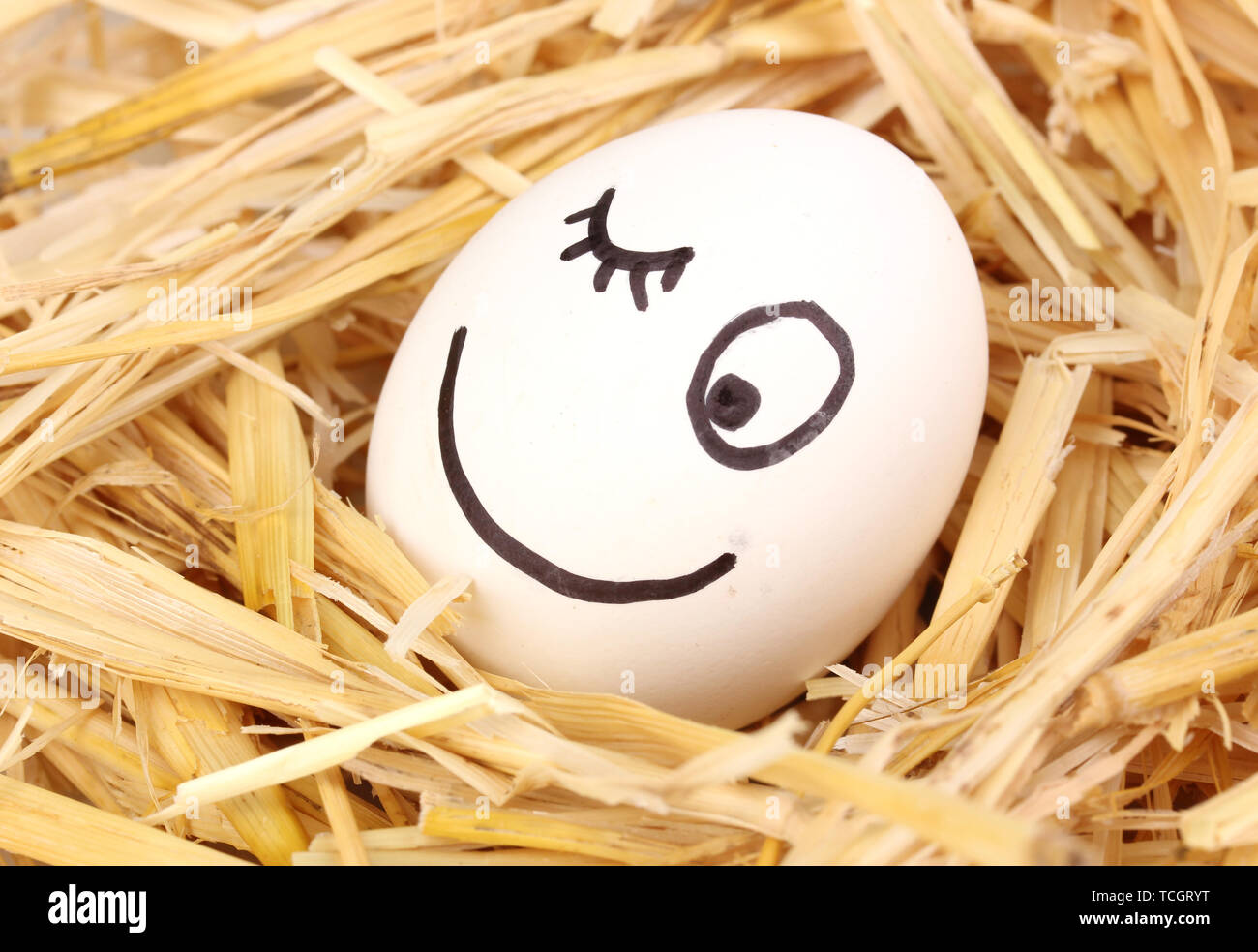 White egg with funny face in straw Stock Photo - Alamy