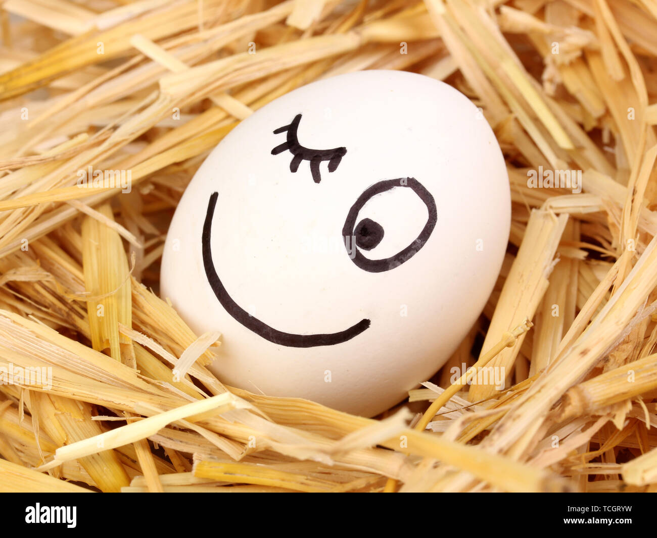 White egg with funny face in straw Stock Photo - Alamy