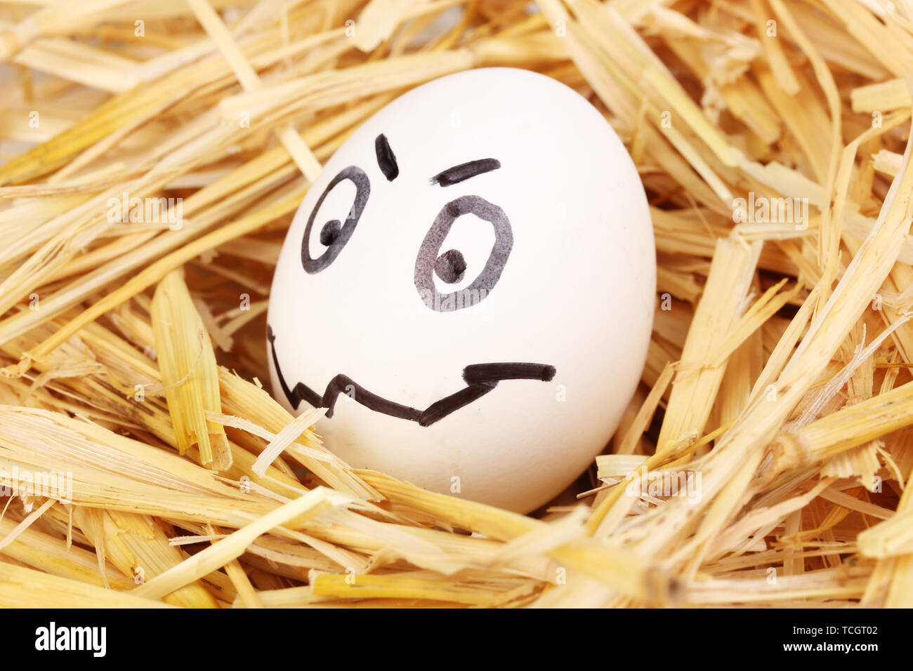 White egg with funny face in straw Stock Photo - Alamy