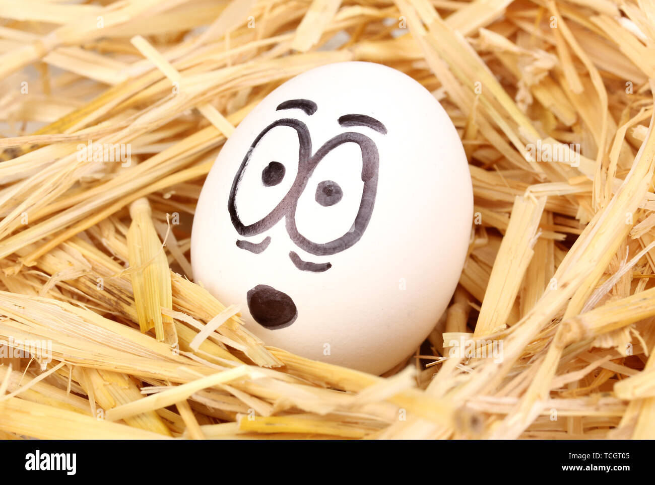 White egg with funny face in straw Stock Photo - Alamy