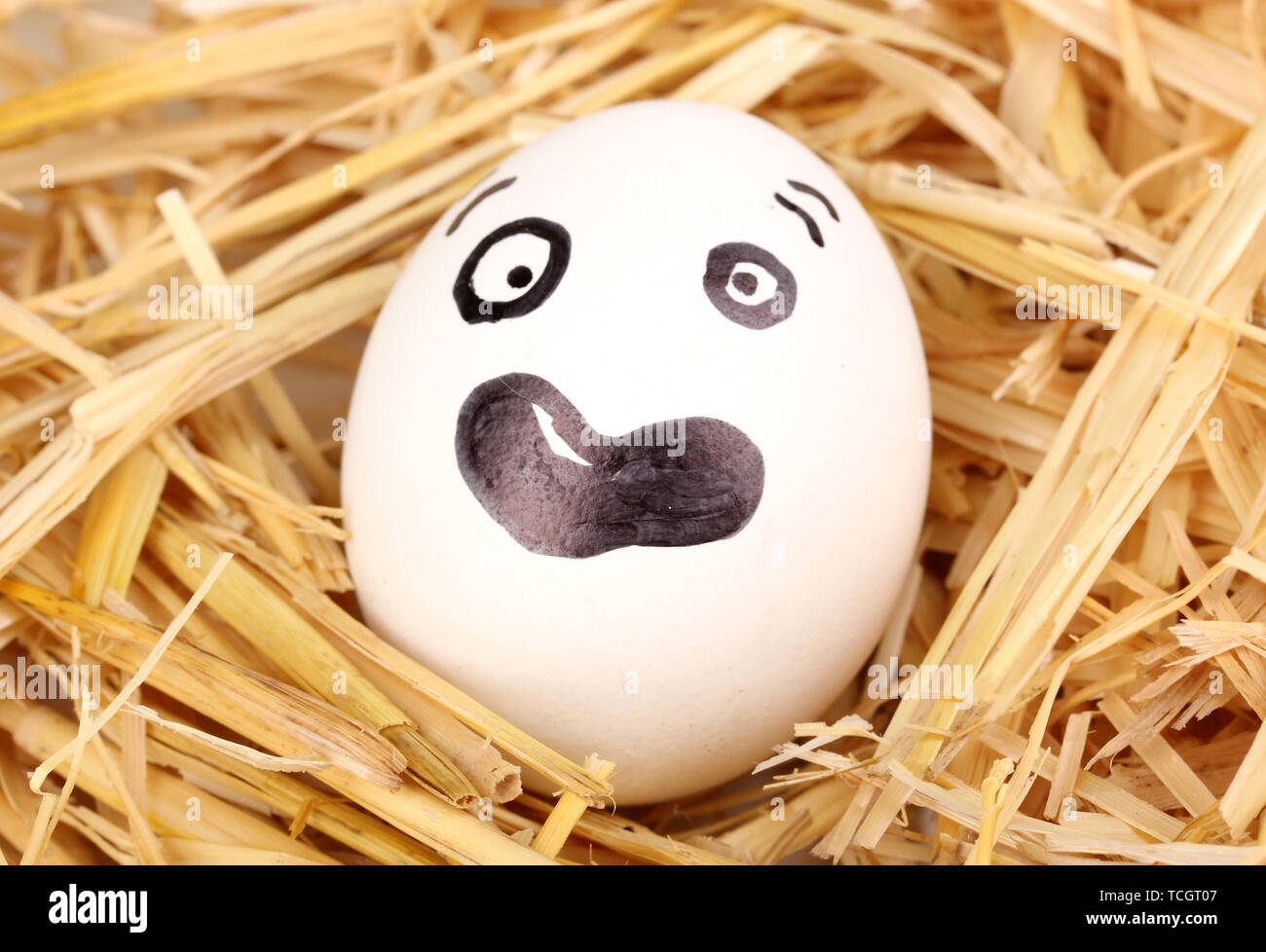 White egg with funny face in straw Stock Photo - Alamy