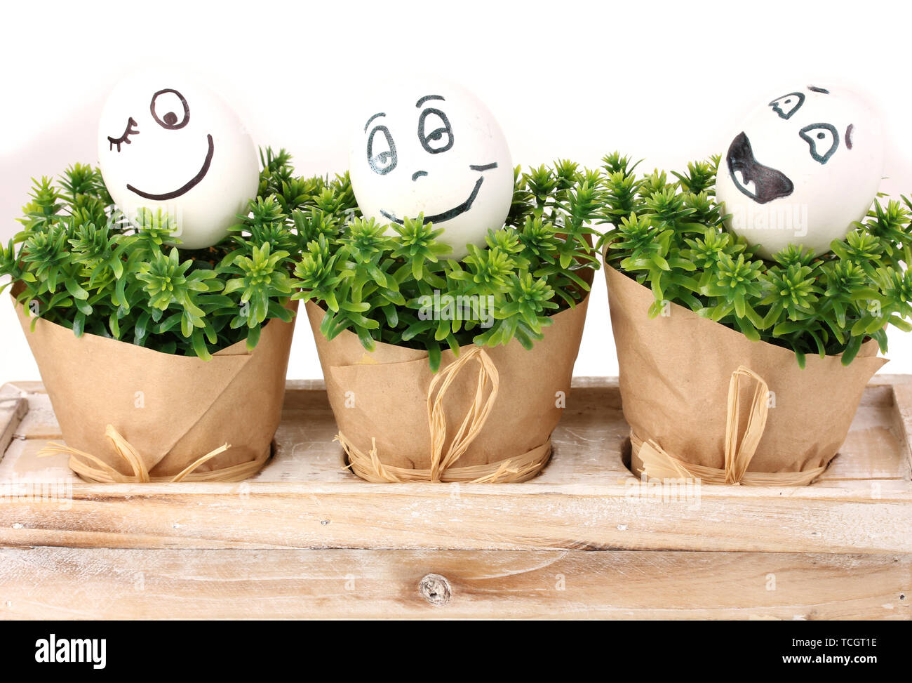 White eggs with funny faces on green bushes Stock Photo - Alamy