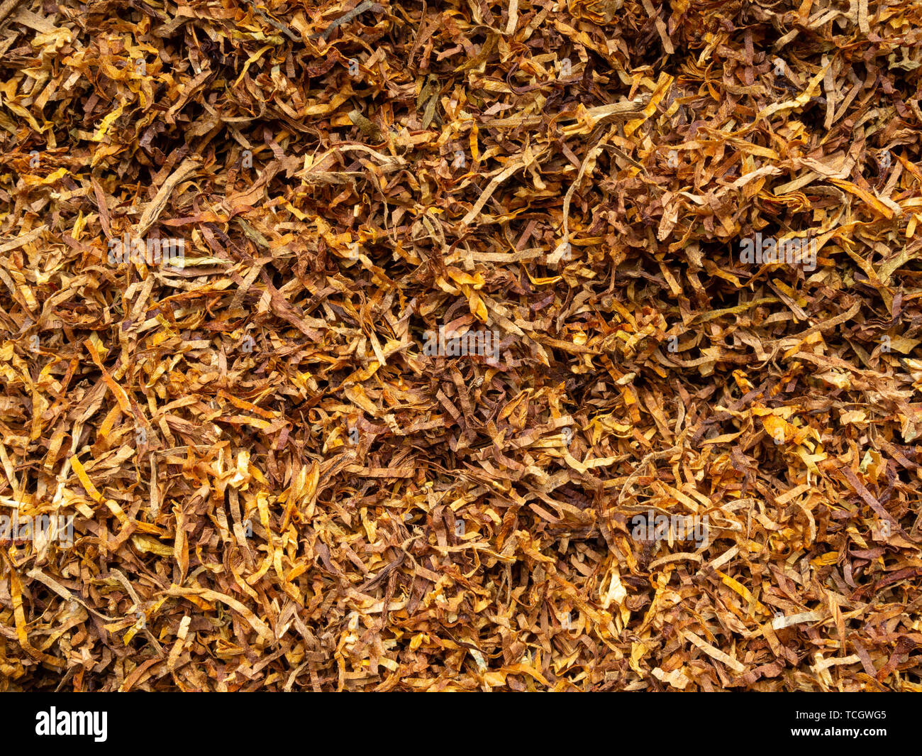 tobacco texture Tobacco texture. High quality dry cut tobacco big leaf, close up Stock  Photo