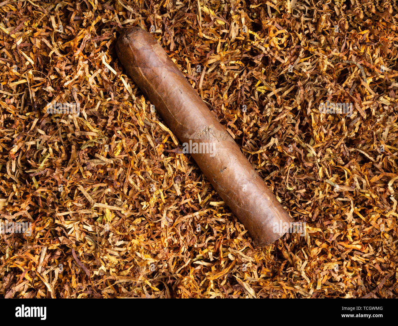 tobacco grows How to Grow Tobacco (with Pictures)