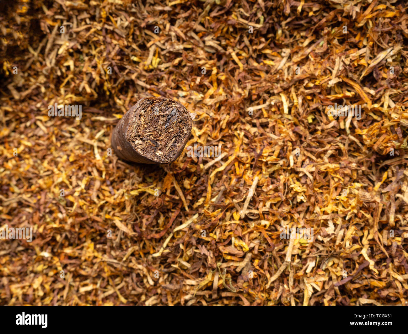 cuban chewing tobacco Chewing tobacco hi-res stock photography and images cuban chewing tobacco Chewing tobacco hi-res stock photography and images