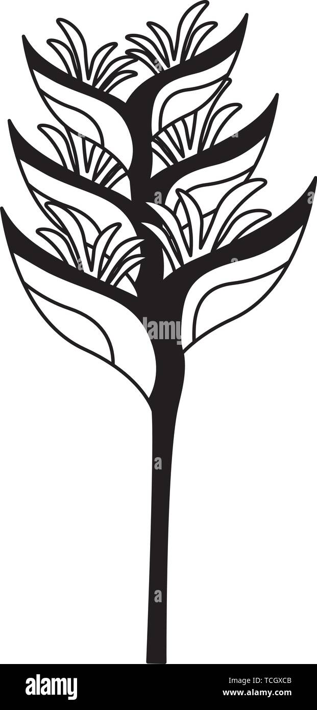 tropical exotic flower decoration icon Stock Vector Image & Art - Alamy
