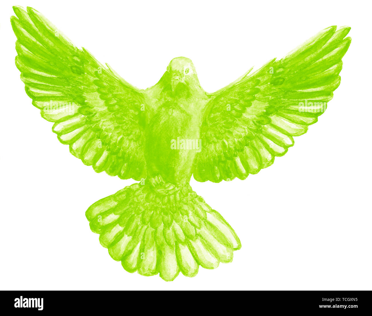 Watercolor and digital watercolor illustration of unicolor bird, pigeon in lime, green color, symbol of the Holy Spirit, isolated on white background. Stock Photo