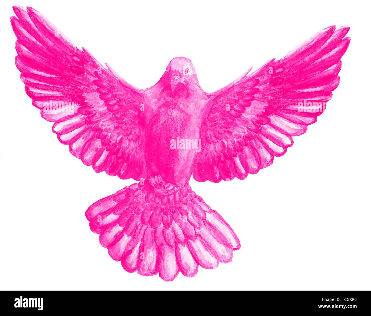 Watercolor and digital watercolor illustration of unicolor bird, pigeon in pink color, symbol of the Holy Spirit, isolated on white background. Stock Photo