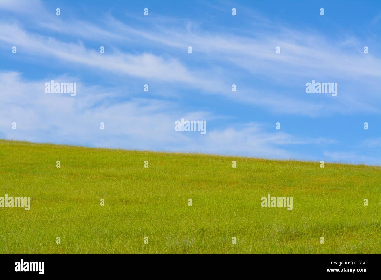 Wispy white clouds float in a bright blue sky over green grass hills ...