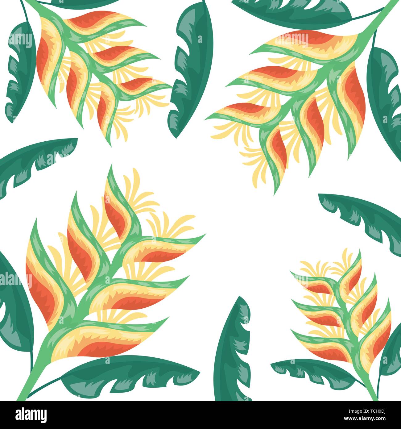 tropical flowers exotic foliage leaves Stock Vector Image & Art - Alamy