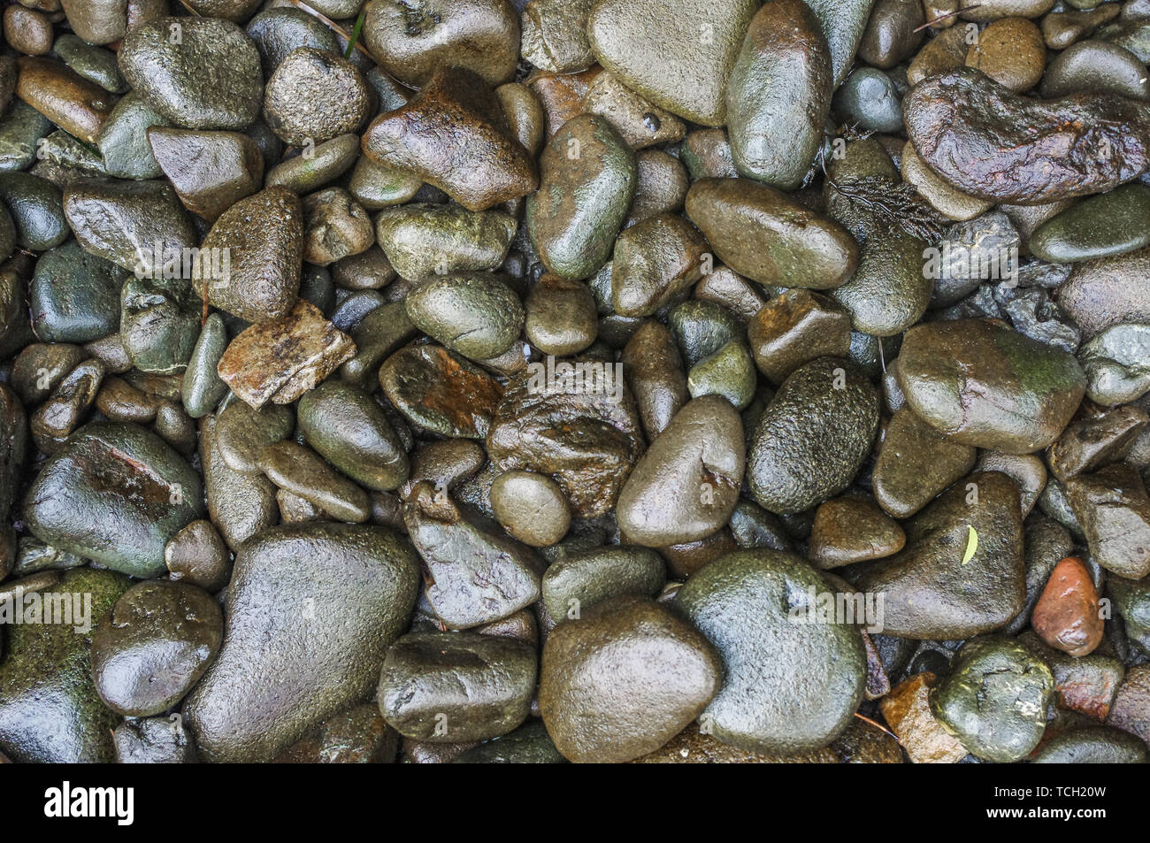river rock background Stock Photo - Alamy