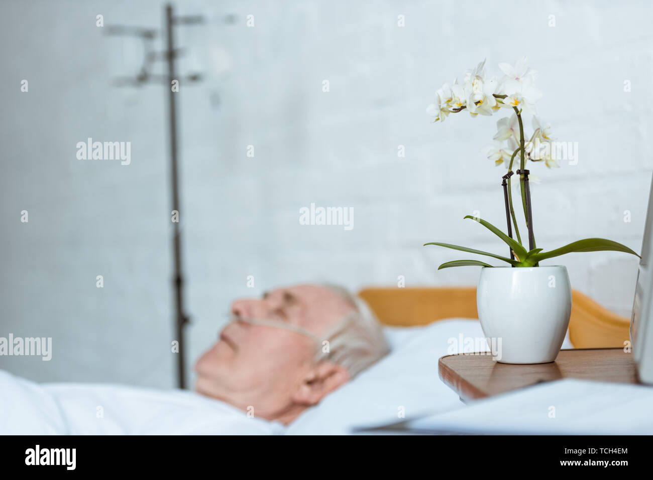 Coma patient hospital bed hires stock photography and images Alamy