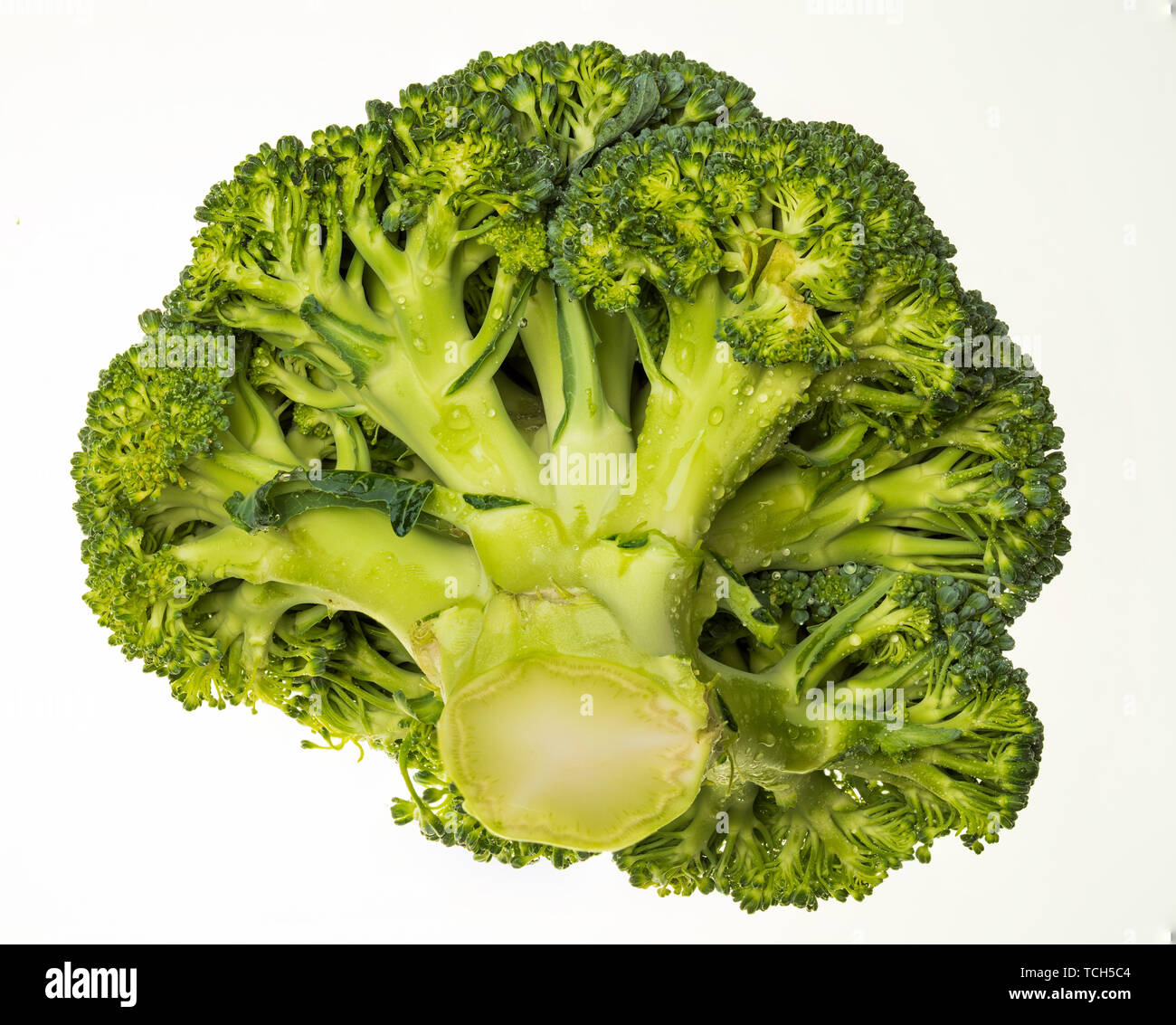 Broccoli (brocolli, brocoli, brocoli, brokoli, sprout, brassica oleracea) portion and very fresh (with water drops). Isolated on white background. Stock Photo