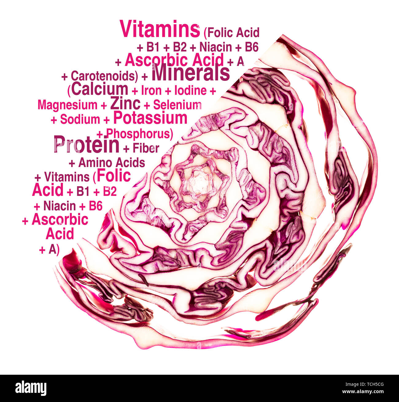Nutritional values of red cabbage (Brassica oleracea). Isolated on