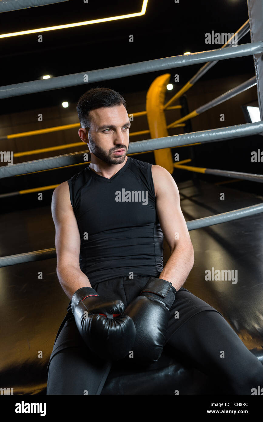 Boxer sitting man gym hi-res stock photography and images - Alamy