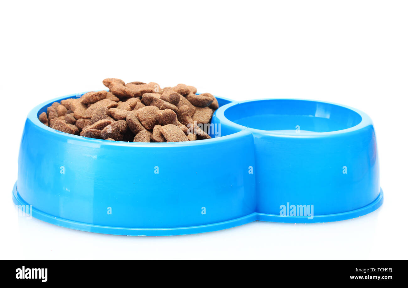 Should I Add Water To Dry Dog Food