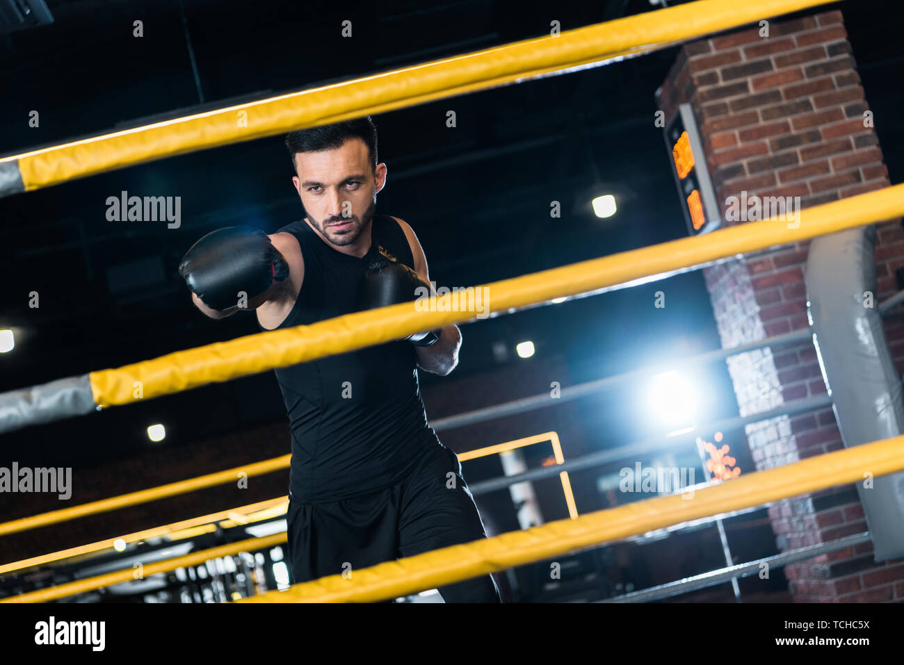 selective focus of strong man in boxing gloves working out in gym Stock ...