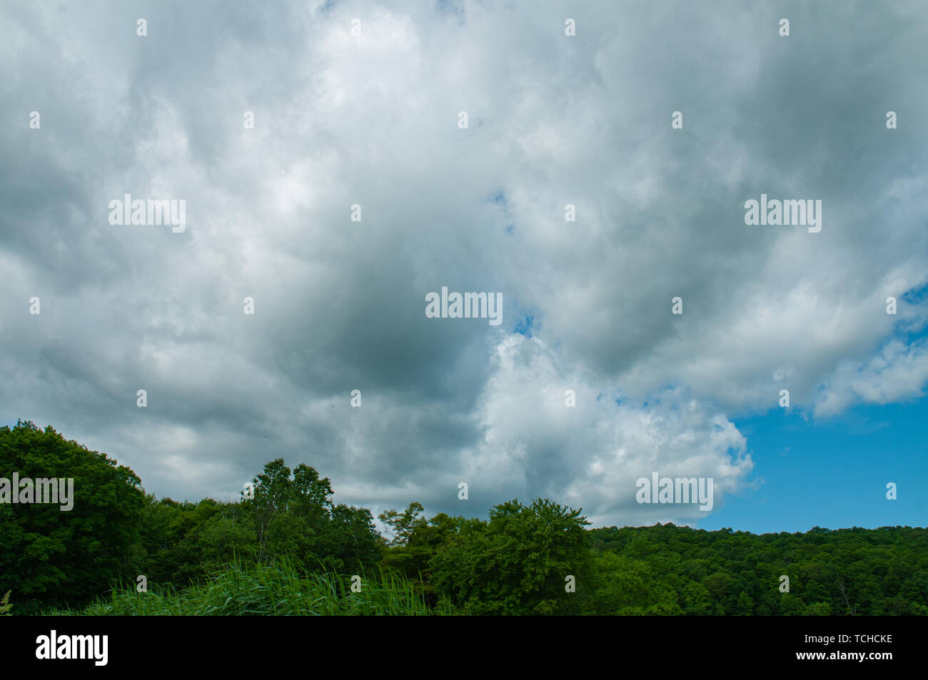Cloudy sky. Dramatic dark cloudy sky, summer natural background Stock Photo