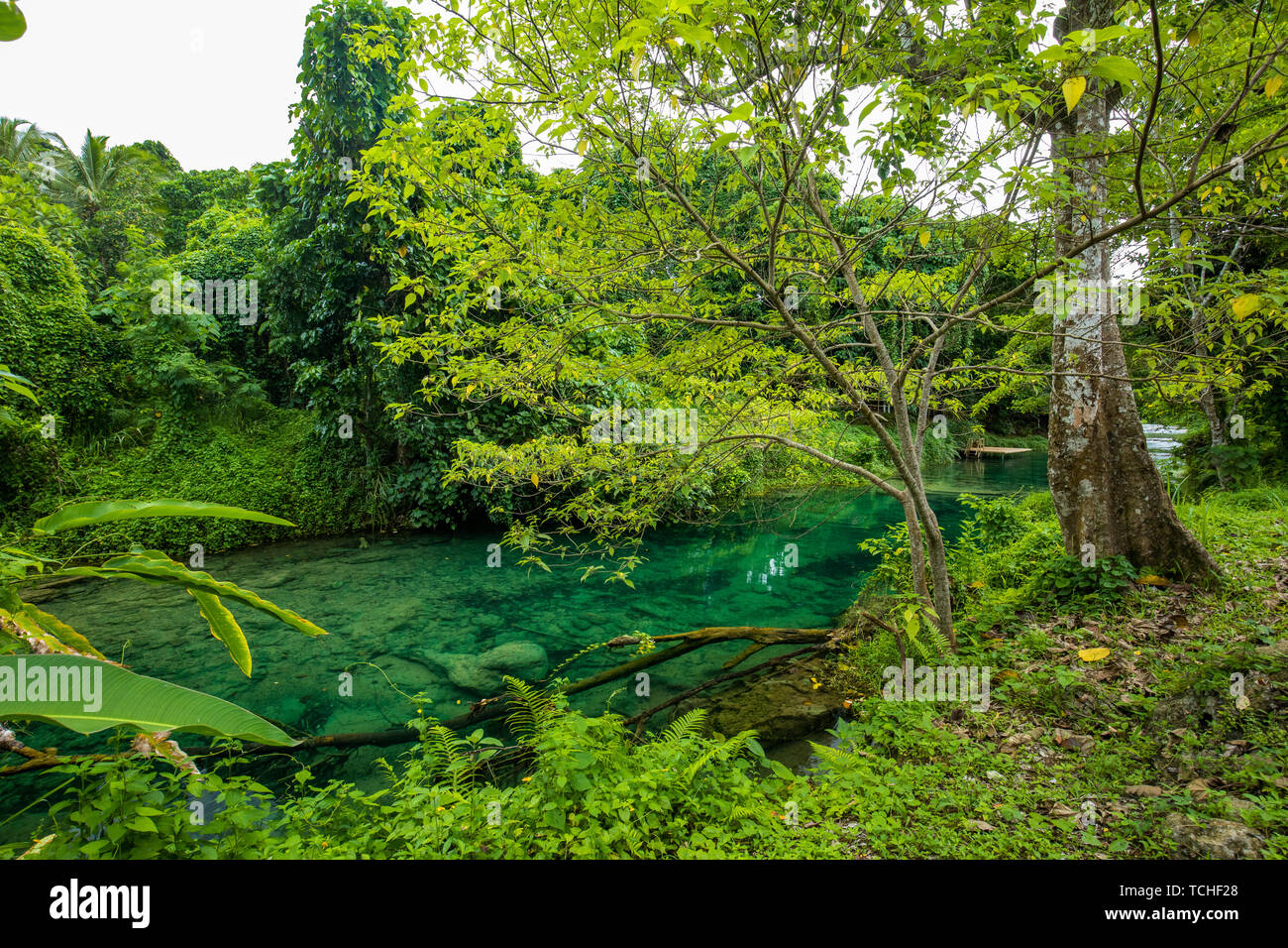 Rarru Rentapao Cascades, Waterfall and the River, Teouma village, Efate Island, Vanuatu, near Port Vila Stock Photo