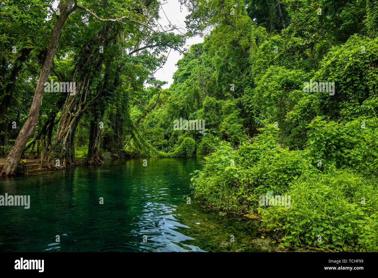 Rarru Rentapao Cascades, Waterfall and the River, Teouma village, Efate Island, Vanuatu, near Port Vila Stock Photo