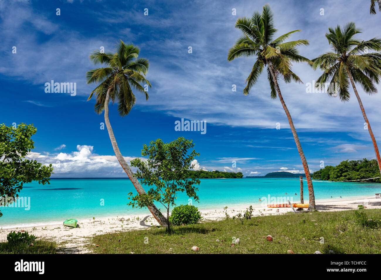 Amazing Port Orly sandy beach with palm trees, Espiritu Santo Island ...