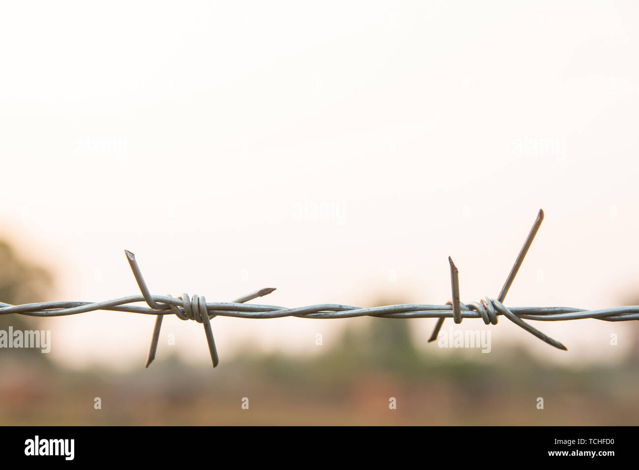 Barbed wire with blur nature background with copy space Stock Photo - Alamy