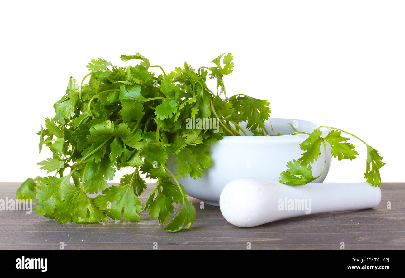 Coriander in a mortar and pestle on wooden Stock Photo