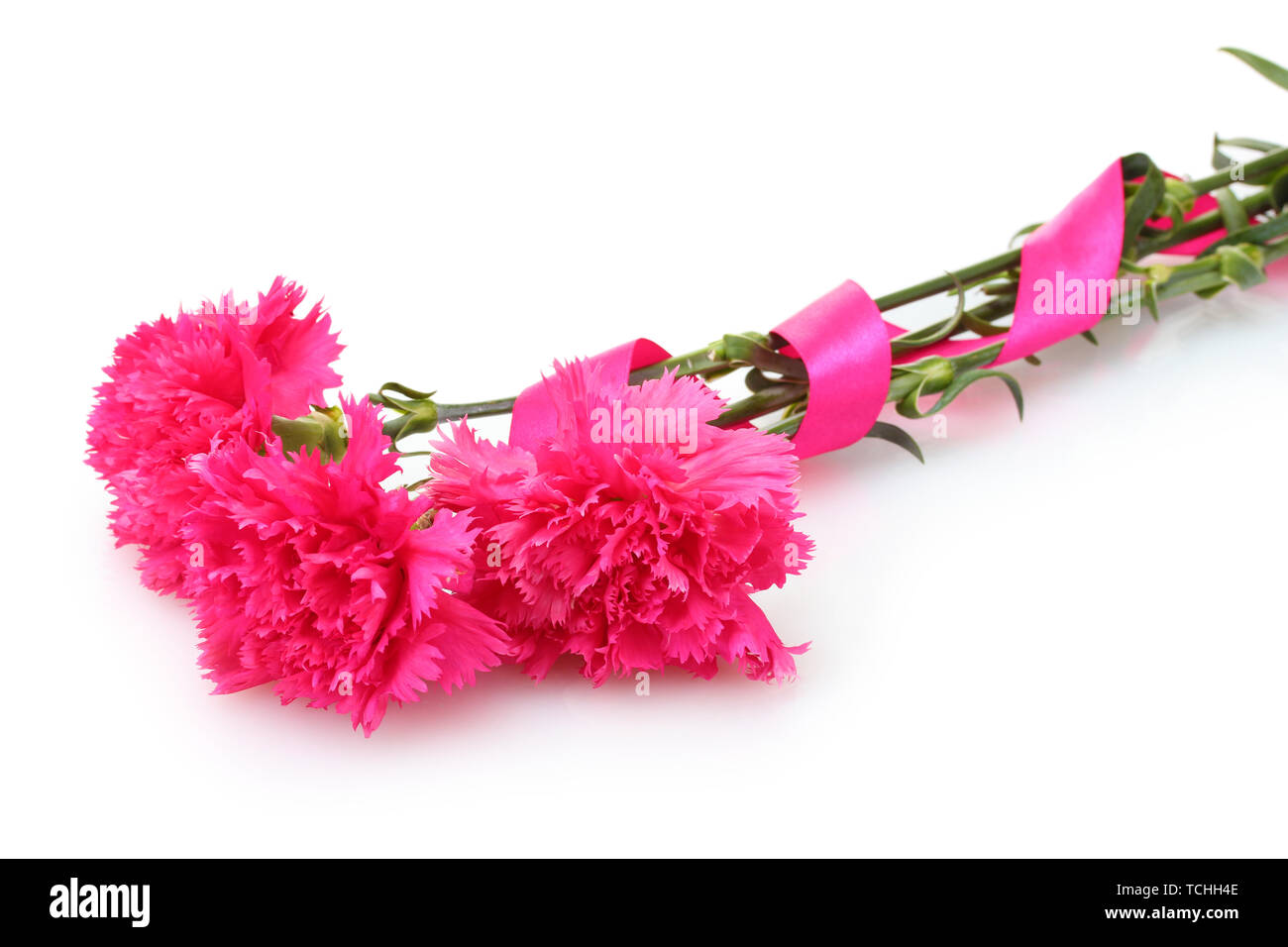 Beautiful pink carnations isolated on white Stock Photo - Alamy