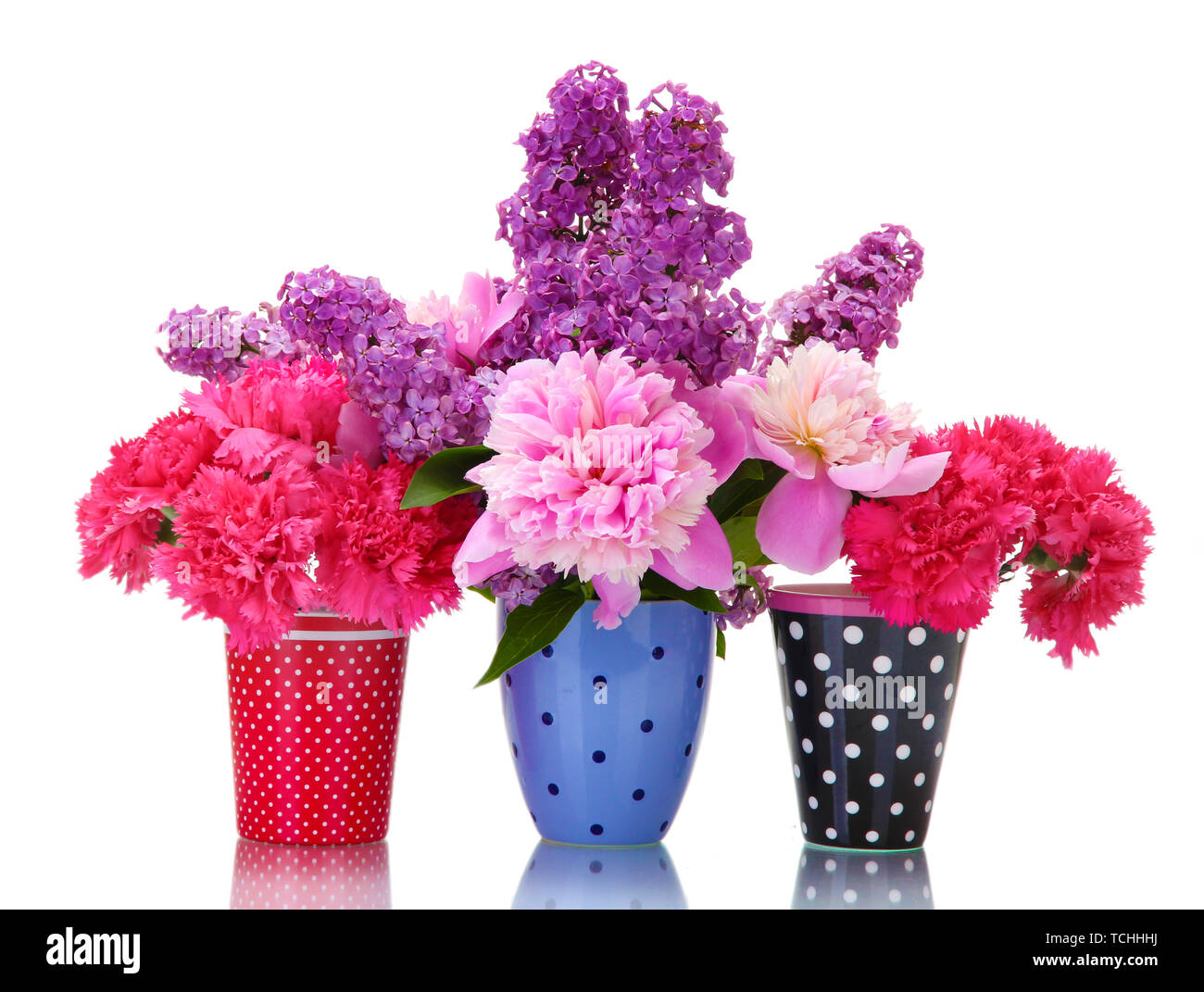 beautiful spring flowers in cups isolated on white Stock Photo - Alamy