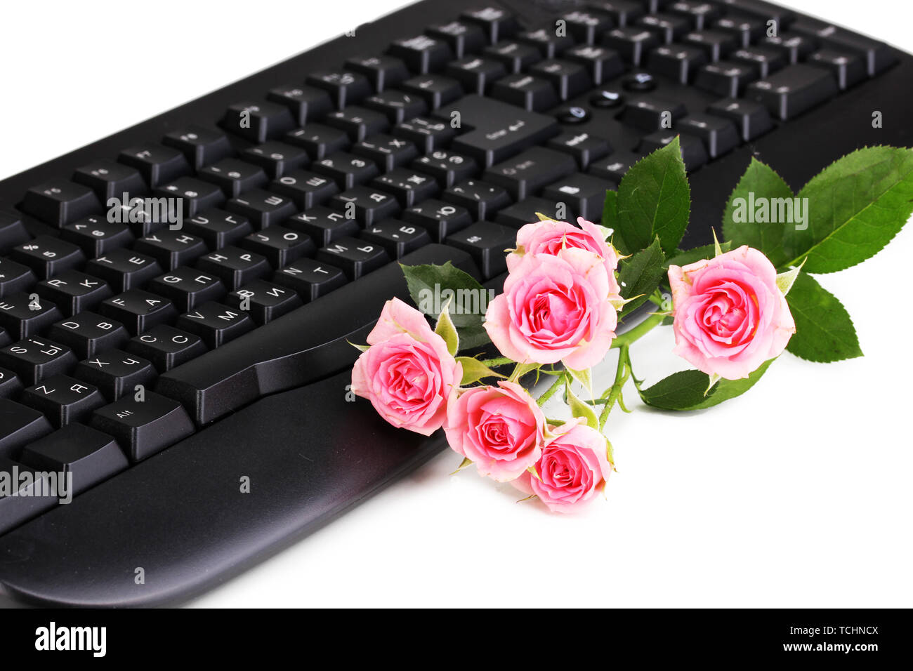 Pink roses on keyboard closeup communication Stock Photo Alamy