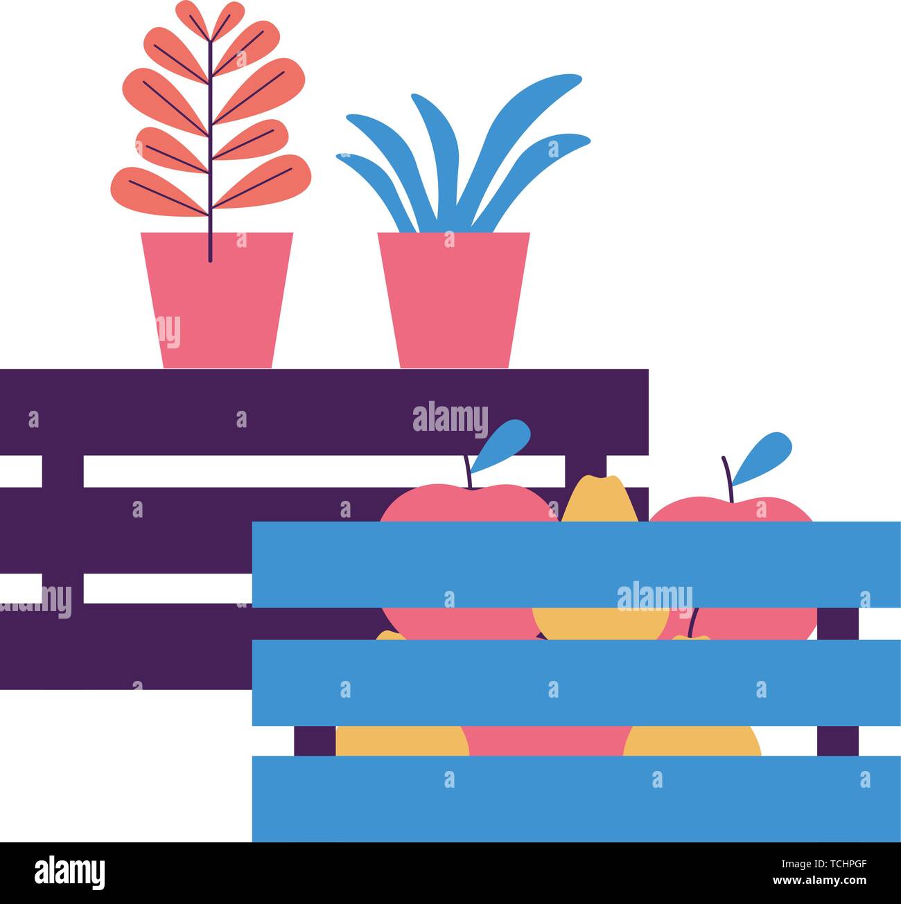 tropical fruits and potted plants Stock Vector Image & Art - Alamy