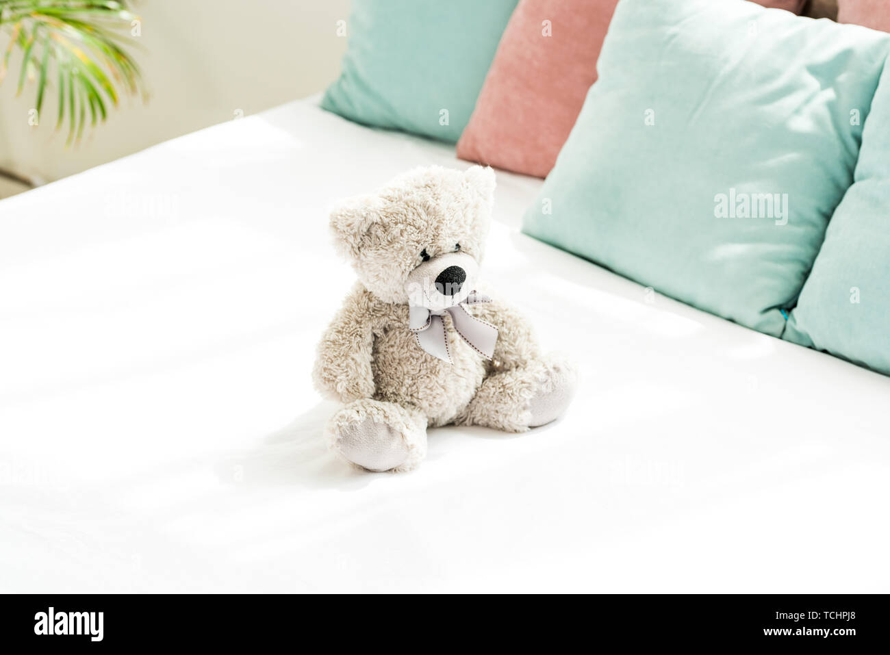 teddy bear pink bedding